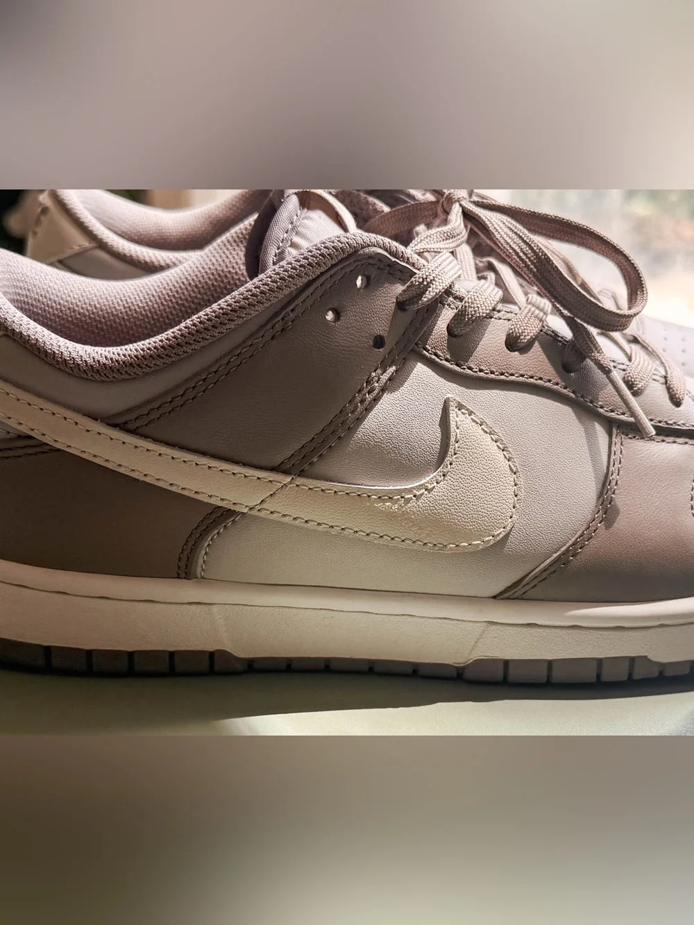 Nike Dunks Low-Top Sneakers in Taupe & White